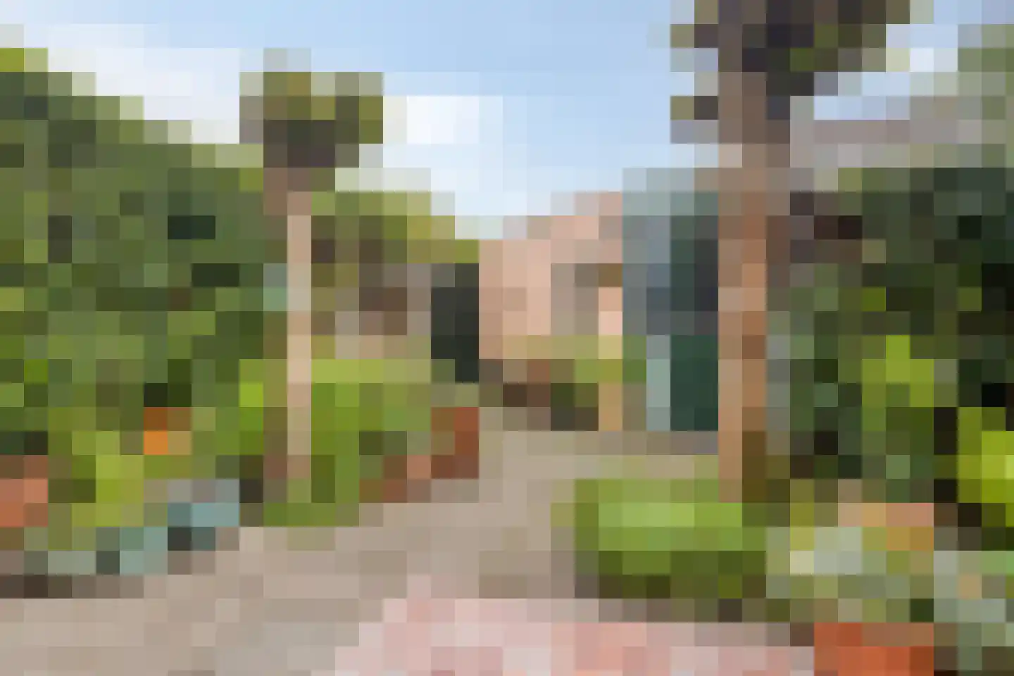 van Suchtelenstraat 6 Zutphen thumbnail 38