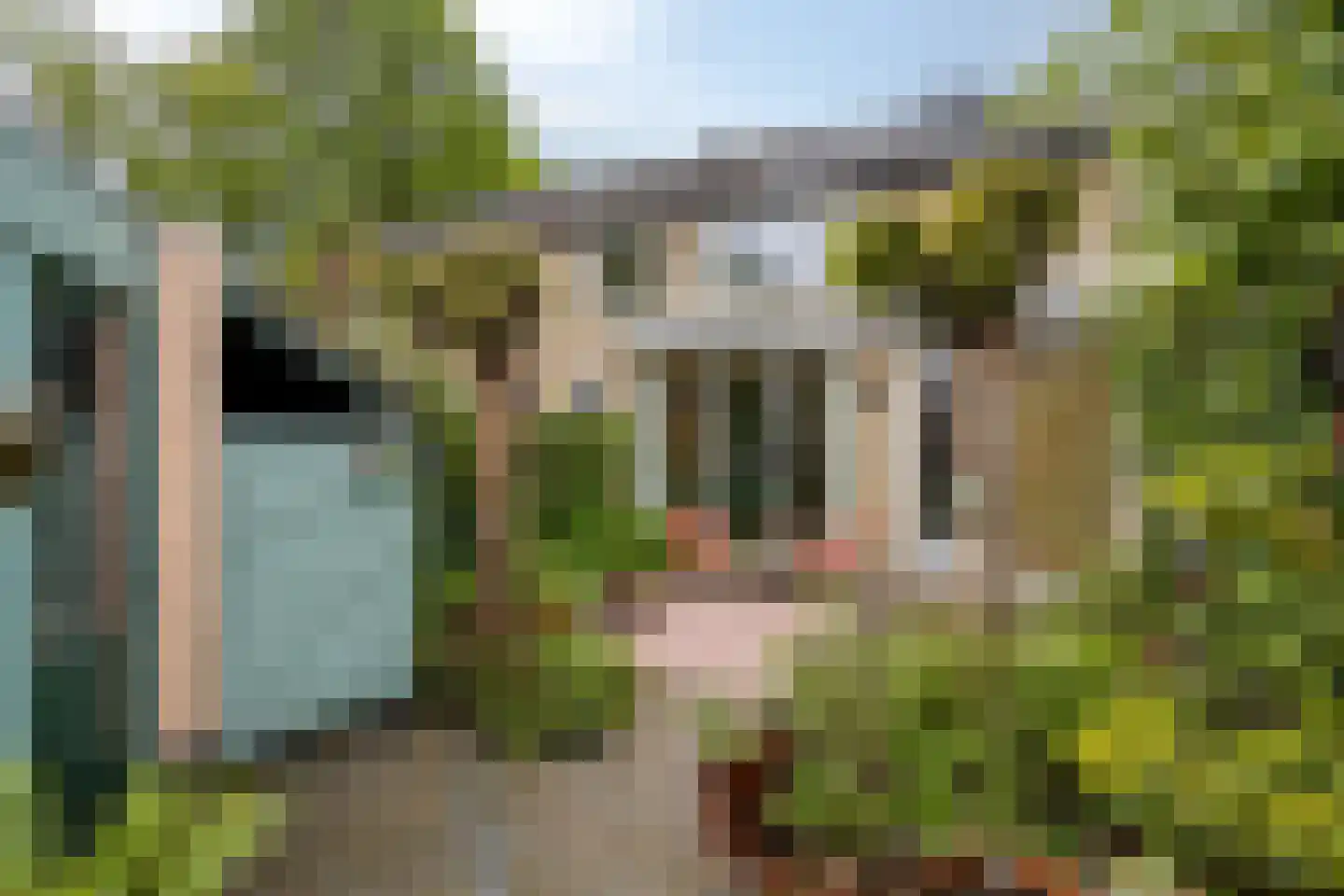 van Suchtelenstraat 6 Zutphen thumbnail 40