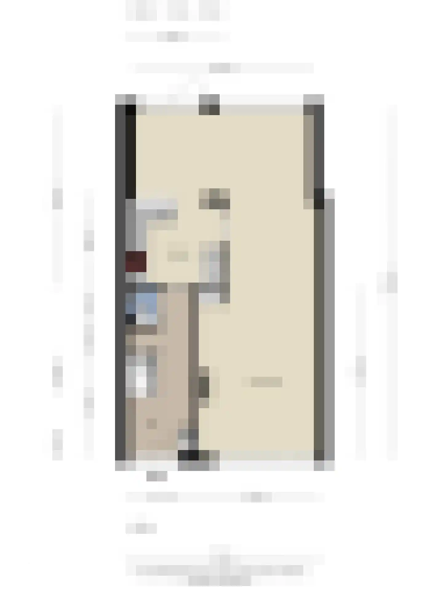van Suchtelenstraat 6 Zutphen thumbnail 45