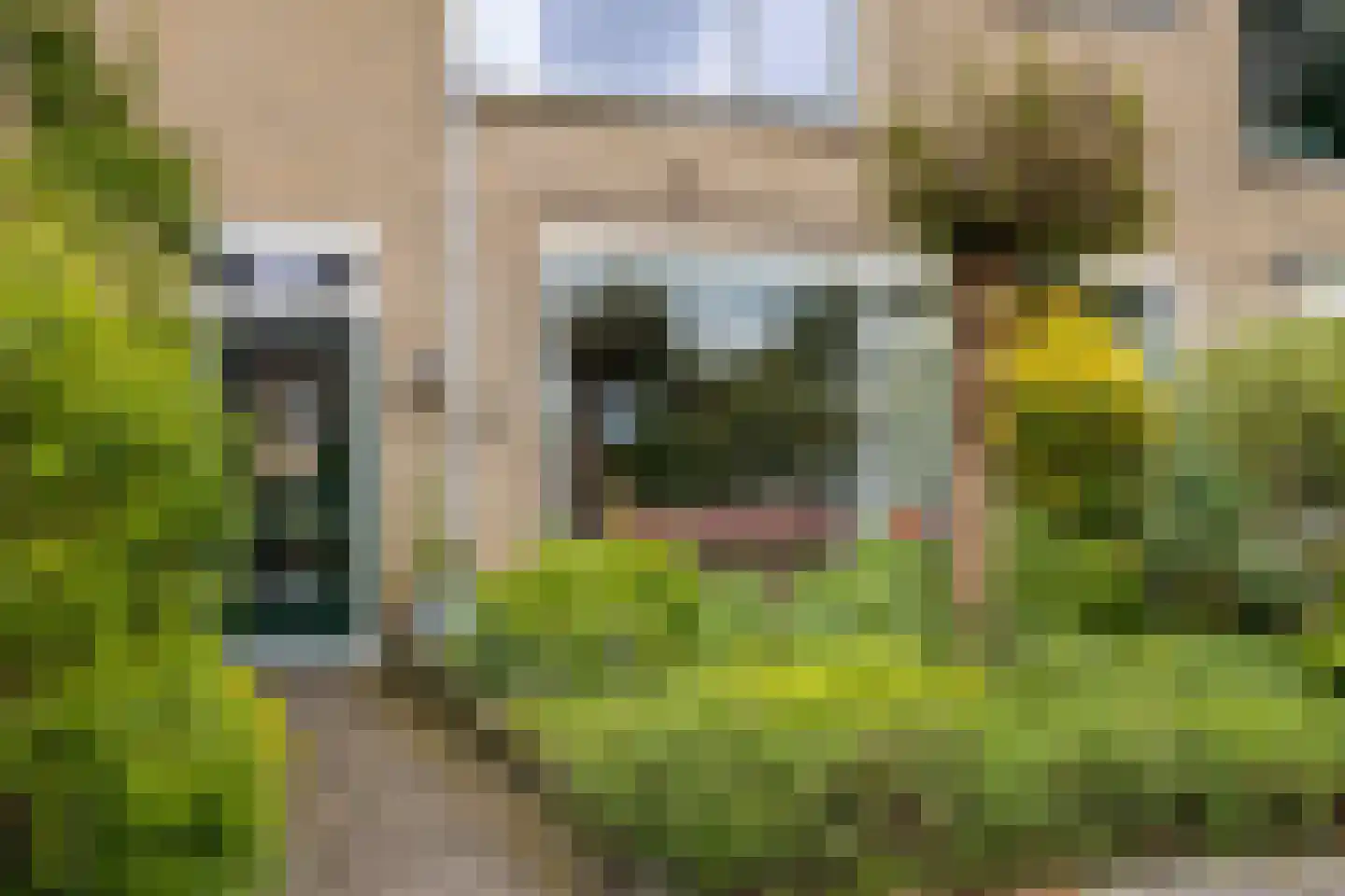 van Suchtelenstraat 6 Zutphen thumbnail 5