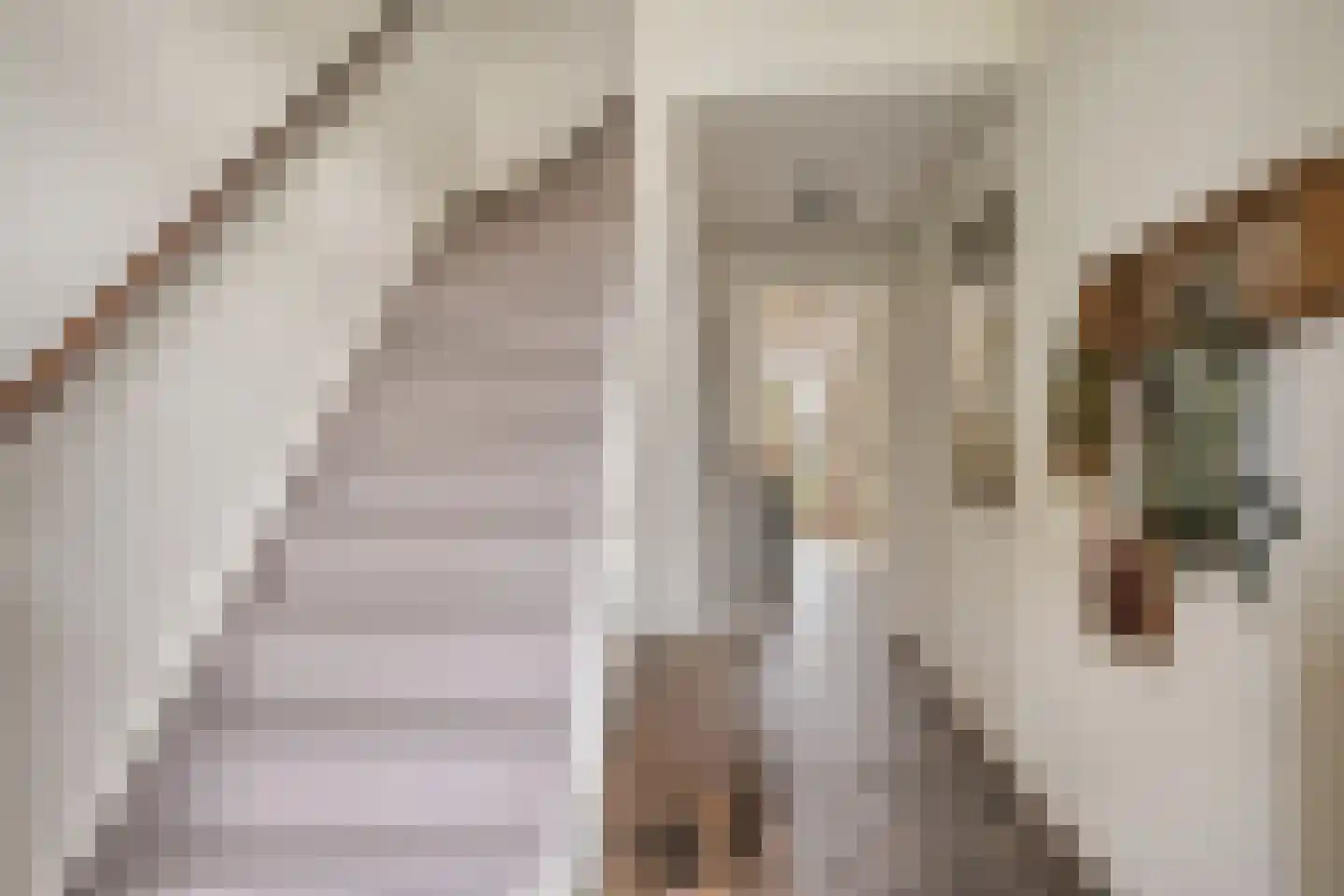 van Suchtelenstraat 6 Zutphen thumbnail 7