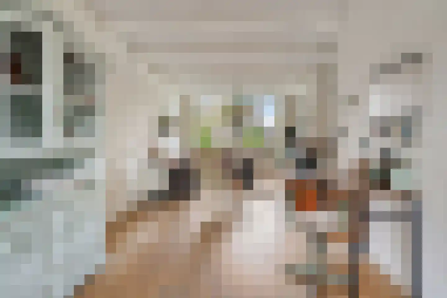 van Suchtelenstraat 6 Zutphen thumbnail 8