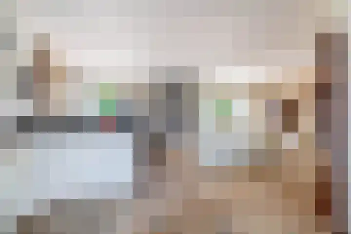 Van Swaanswijckstraat 35 Moerkapelle thumbnail 15