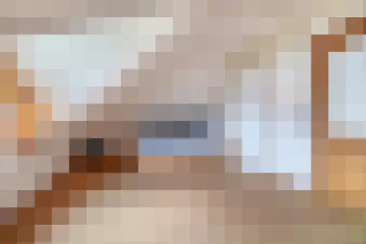 Van Swaanswijckstraat 35 Moerkapelle thumbnail 30
