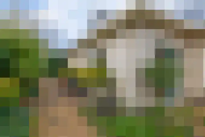 Van Swaanswijckstraat 35 Moerkapelle thumbnail 36
