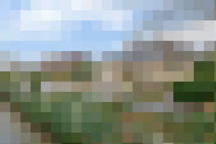Van Swaanswijckstraat 35 Moerkapelle thumbnail 40