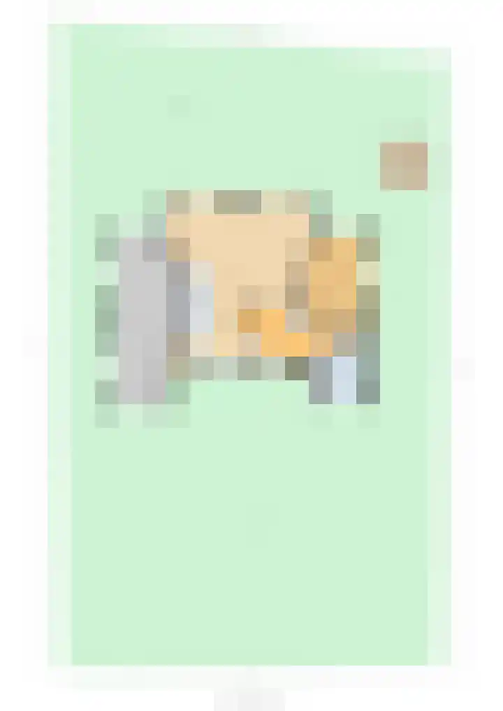 Van Swaanswijckstraat 35 Moerkapelle thumbnail 55