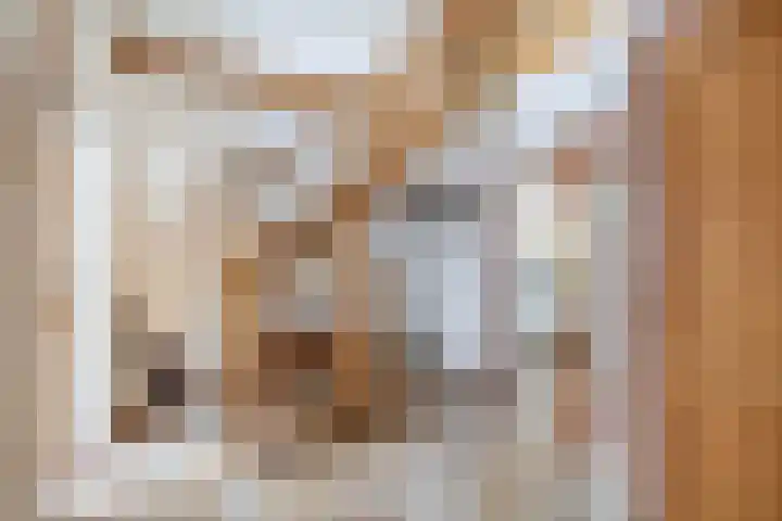 Van Swaanswijckstraat 35 Moerkapelle thumbnail 6