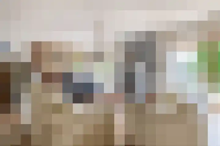 Van Swaanswijckstraat 35 Moerkapelle thumbnail 8