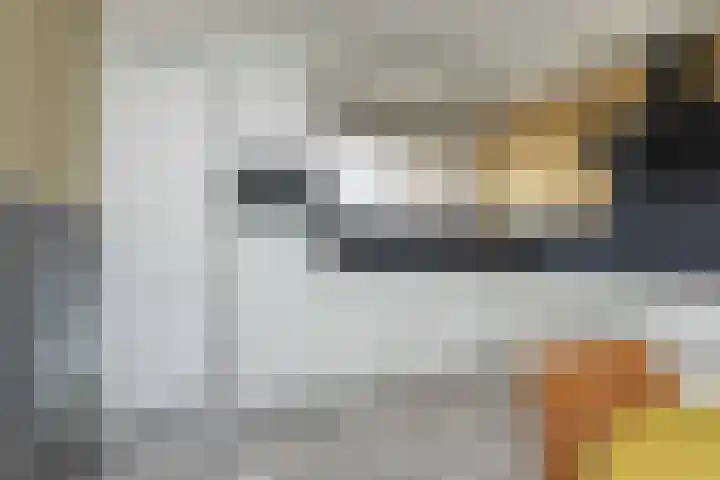 van Swietenhof 31 Hoogeveen thumbnail 10