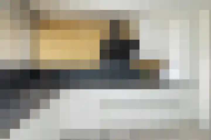 van Swietenhof 31 Hoogeveen thumbnail 11