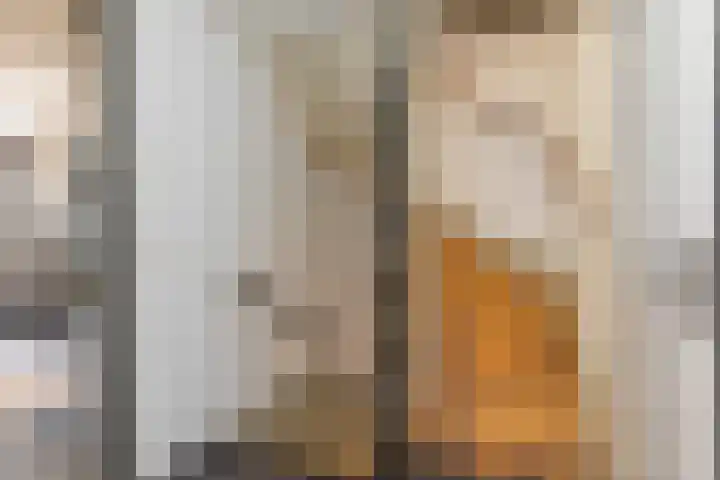 van Swietenhof 31 Hoogeveen thumbnail 26