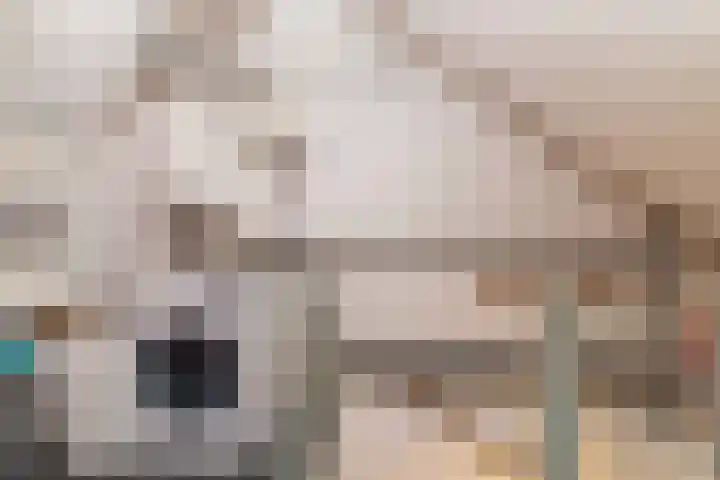 van Swietenhof 31 Hoogeveen thumbnail 27