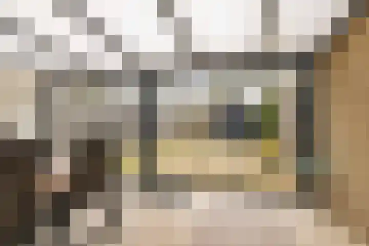 van Swietenhof 31 Hoogeveen thumbnail 33