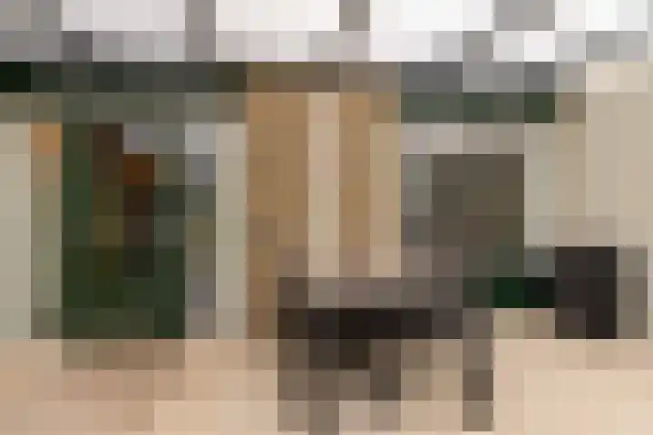 van Swietenhof 31 Hoogeveen thumbnail 34