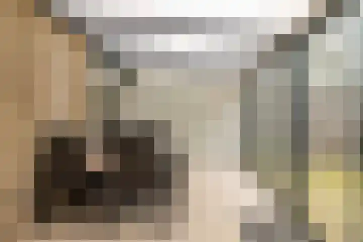 van Swietenhof 31 Hoogeveen thumbnail 35