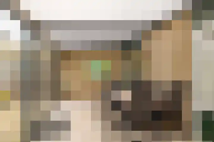 van Swietenhof 31 Hoogeveen thumbnail 36