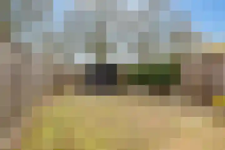 van Swietenhof 31 Hoogeveen thumbnail 37