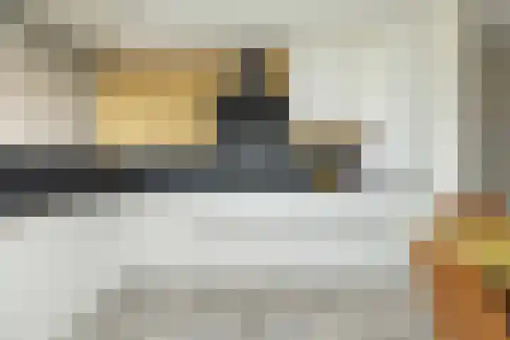 van Swietenhof 31 Hoogeveen thumbnail 4