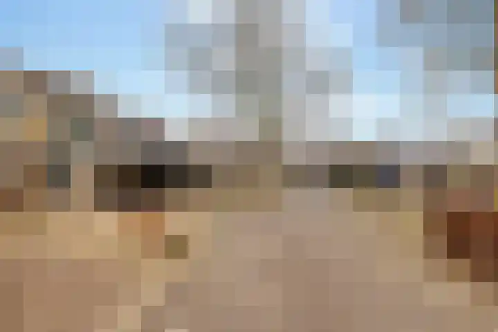 van Swietenhof 31 Hoogeveen thumbnail 40