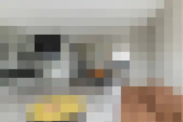 van Swietenhof 31 Hoogeveen thumbnail 7