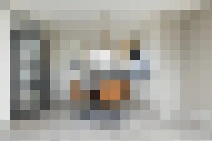 van Swietenhof 31 Hoogeveen thumbnail 8