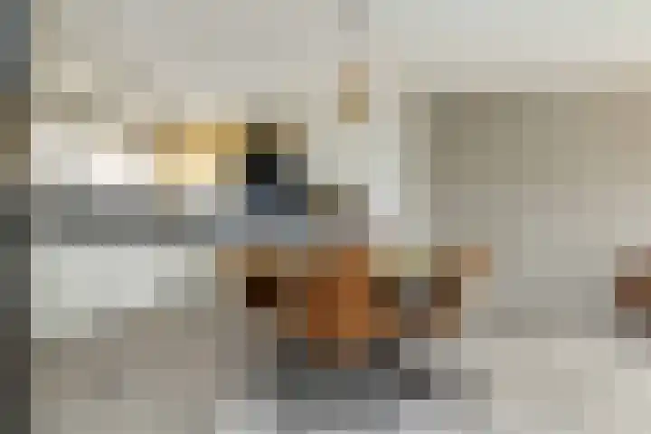 van Swietenhof 31 Hoogeveen thumbnail 9