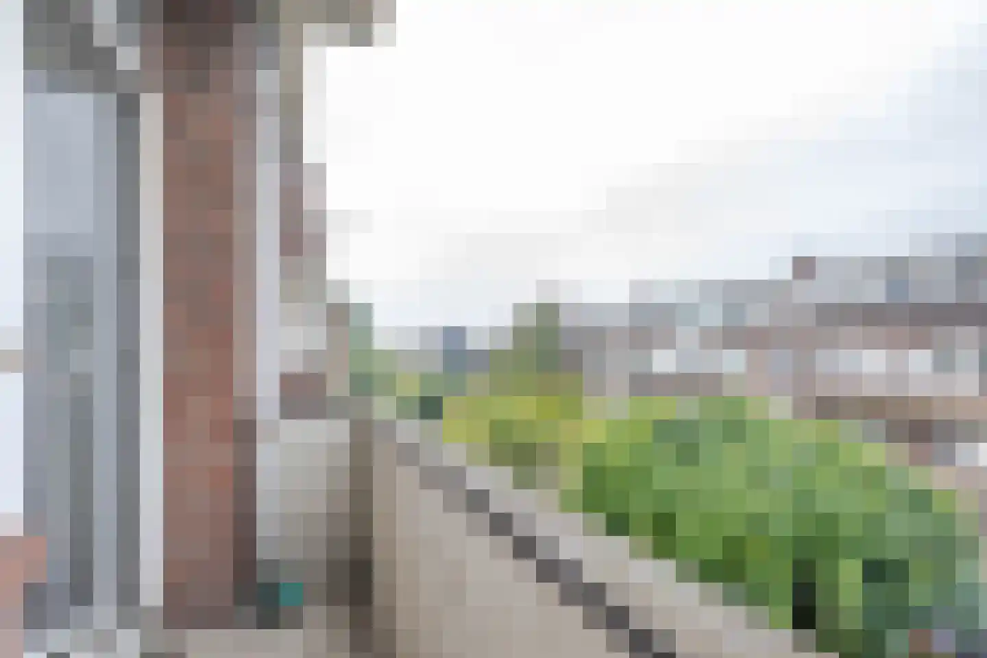 Van Swietenlaan 11 C Rotterdam thumbnail 13