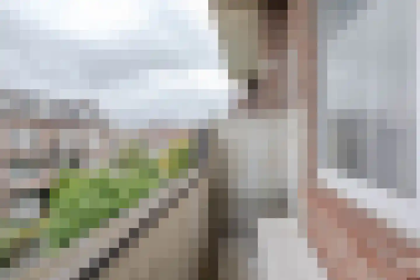 Van Swietenlaan 11 C Rotterdam thumbnail 5