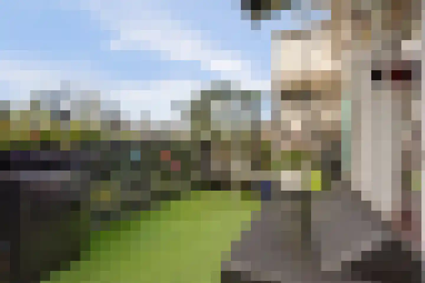 Van Swietenlaan 17 A Rotterdam thumbnail 13