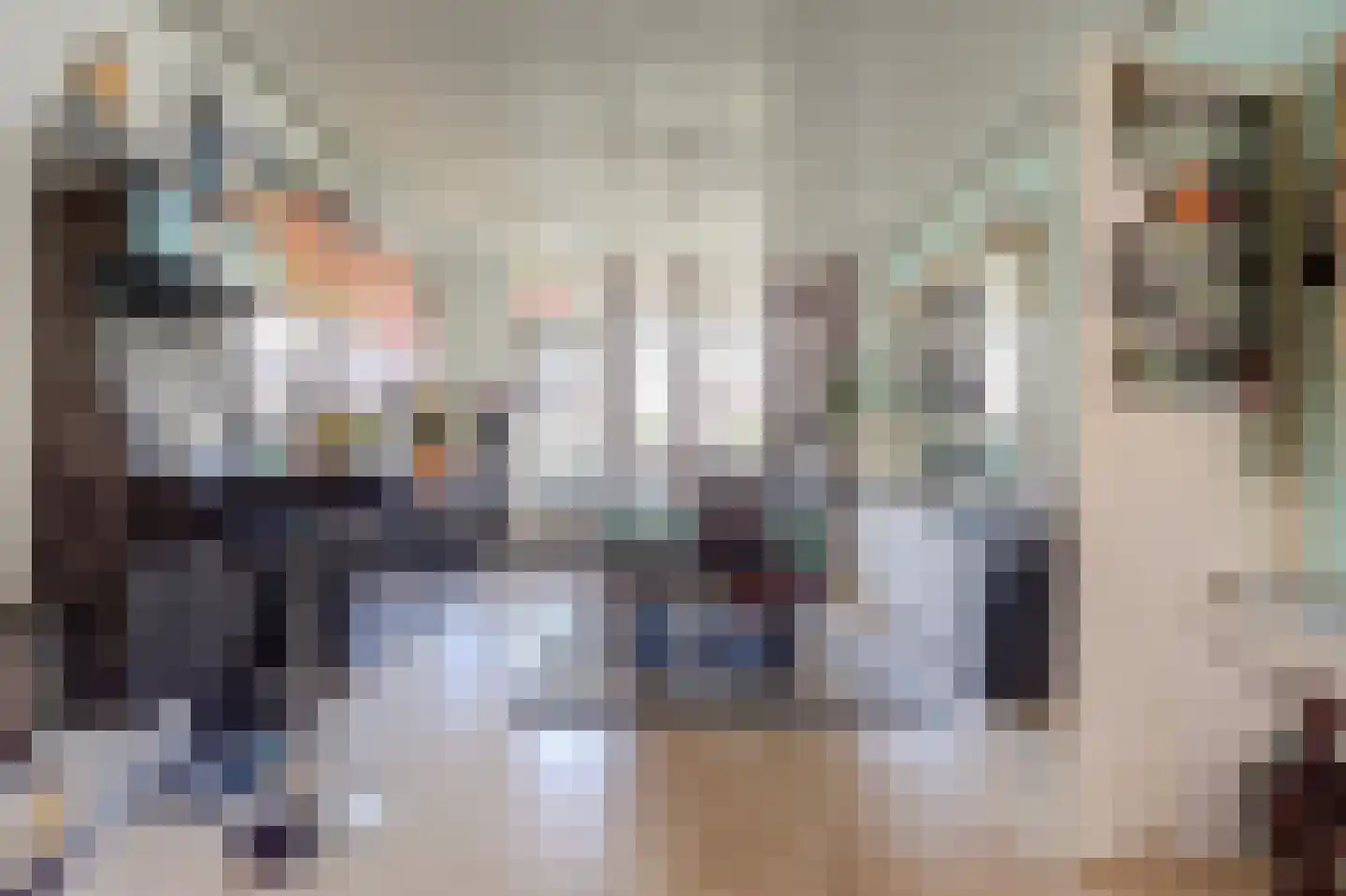 Van Swietenlaan 17 A Rotterdam thumbnail 5