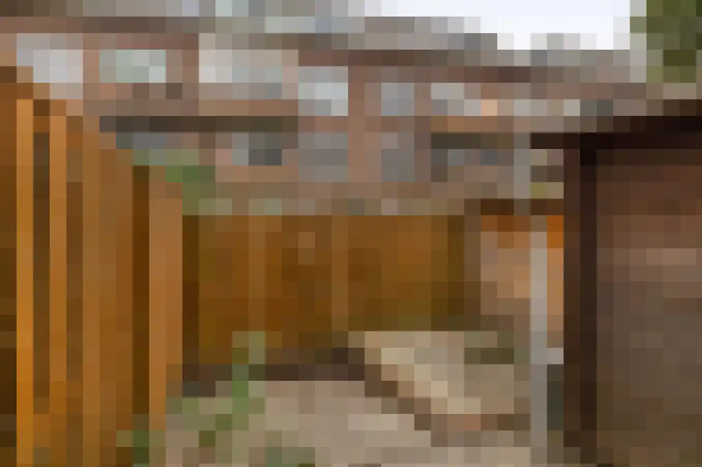 Van Swietenlaan 17 C Rotterdam thumbnail 28