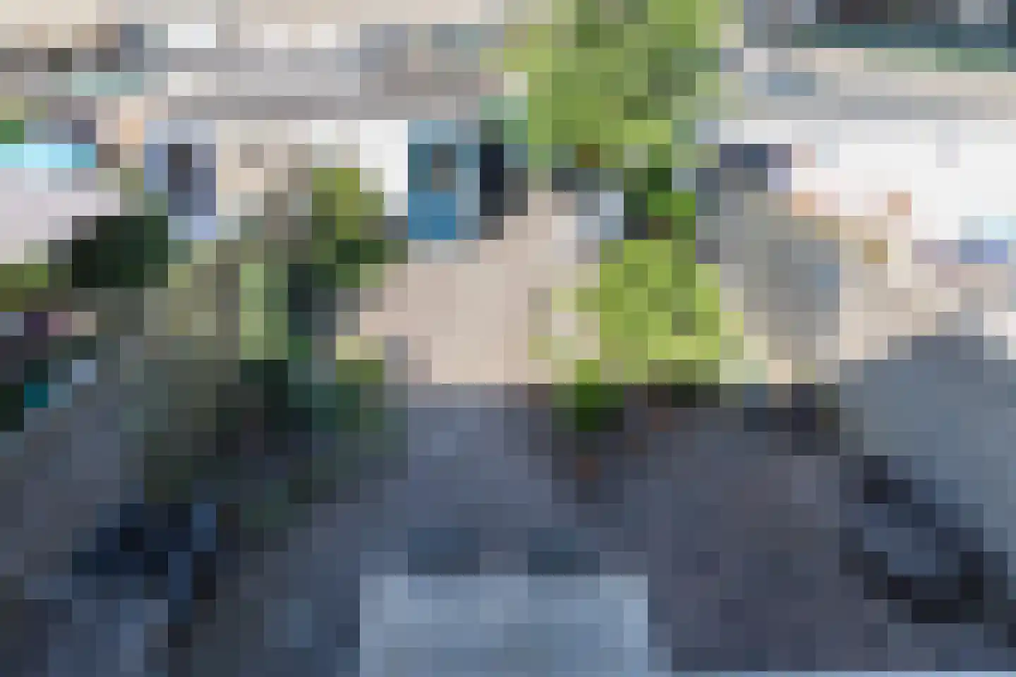 Van Swietenlaan 20 Bergen op Zoom thumbnail 42