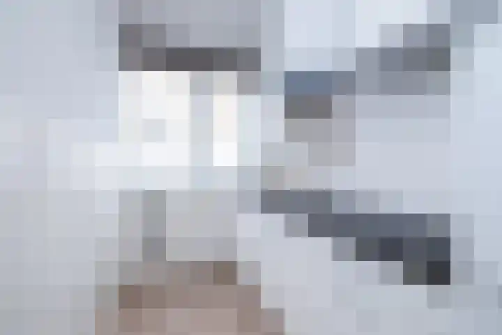 Van Swietenlaan 61 A Rotterdam thumbnail 13