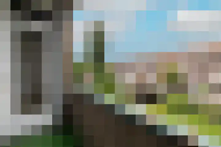 Van Swietenlaan 61 A Rotterdam thumbnail 23