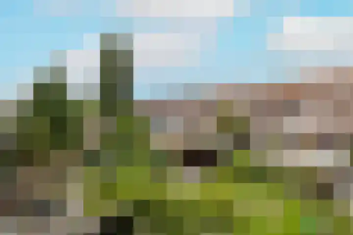 Van Swietenlaan 61 A Rotterdam thumbnail 24