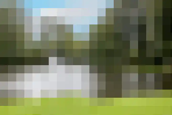 Van Swietenlaan 61 A Rotterdam thumbnail 25