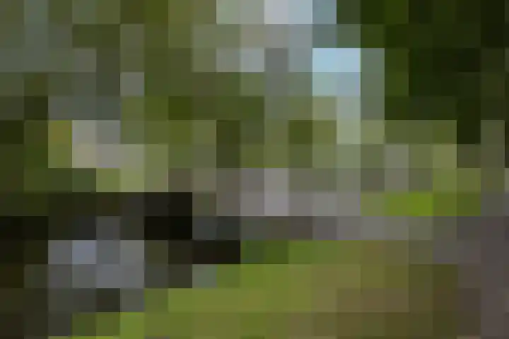 Van Swietenlaan 61 A Rotterdam thumbnail 26