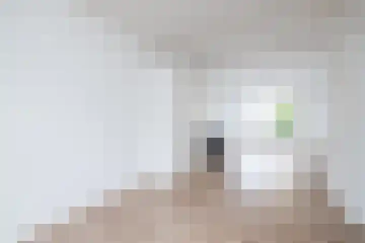Van Swietenlaan 61 A Rotterdam thumbnail 8
