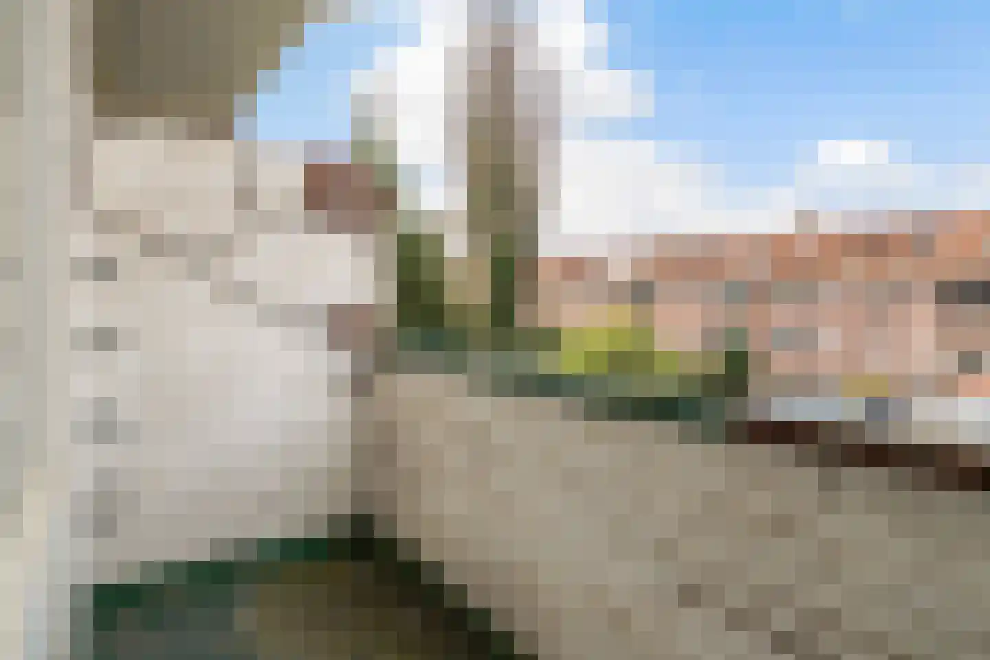 Van Swietenlaan 63 C Rotterdam thumbnail 32