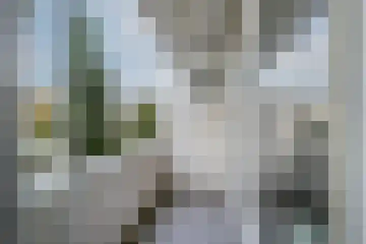 Van Swietenlaan 69 D Rotterdam thumbnail 14