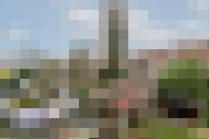 Van Swietenlaan 69 D Rotterdam thumbnail 16