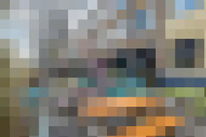 Van Swietenlaan 69 D Rotterdam thumbnail 20