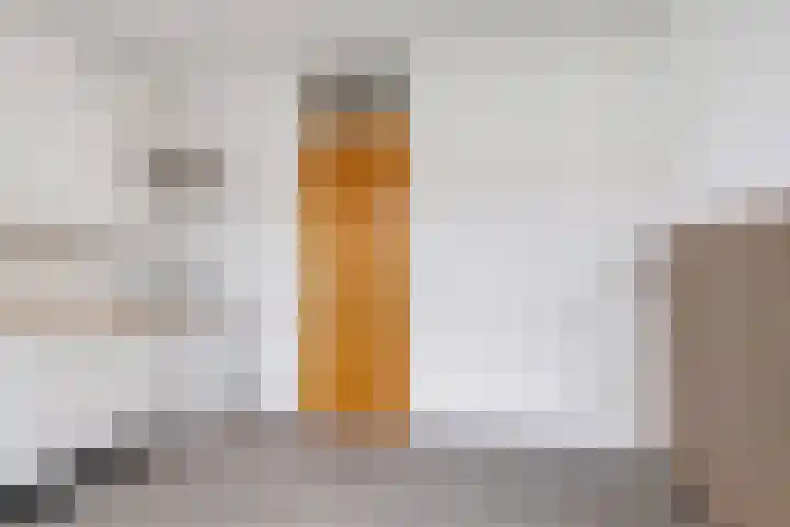 Van Swietenlaan 69 D Rotterdam thumbnail 7