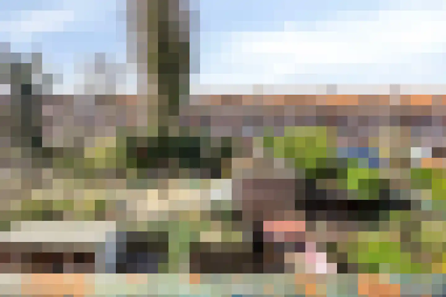 Van Swietenlaan 71 C Rotterdam thumbnail 16