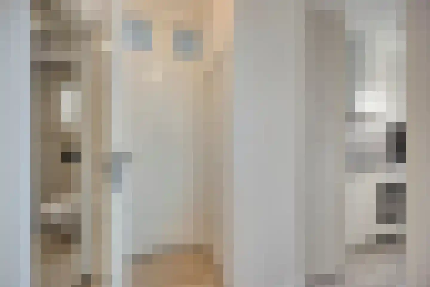 Van Swietenlaan 71 C Rotterdam thumbnail 8