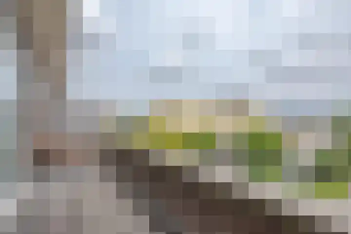 Van Swietenlaan 77 A Rotterdam thumbnail 11