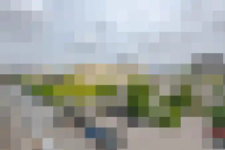 Van Swietenlaan 77 A Rotterdam thumbnail 12
