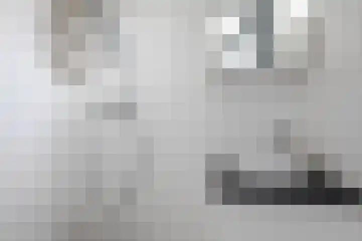 Van Swietenlaan 77 A Rotterdam thumbnail 15