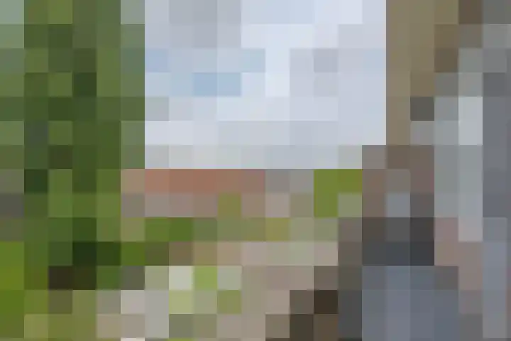 Van Swietenlaan 77 A Rotterdam thumbnail 17